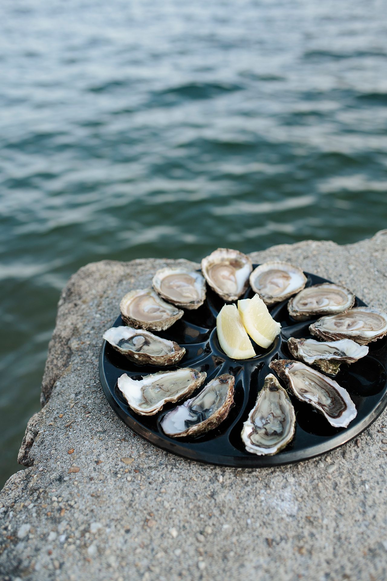 Photo de Huitres Damerose - La Cabane de Cadoudal