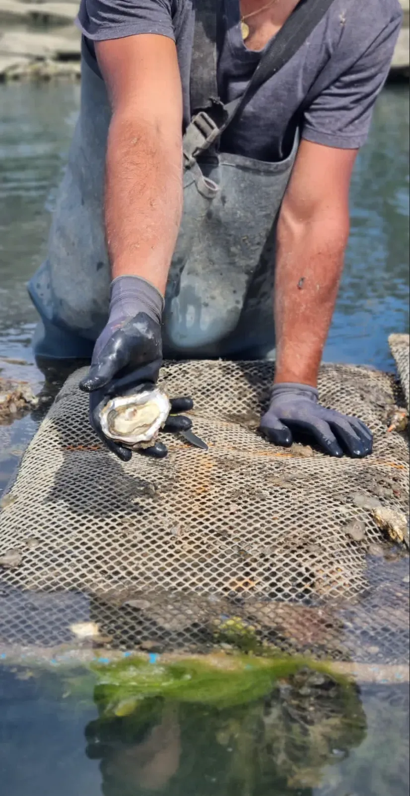 Photo de Chez Jaouen