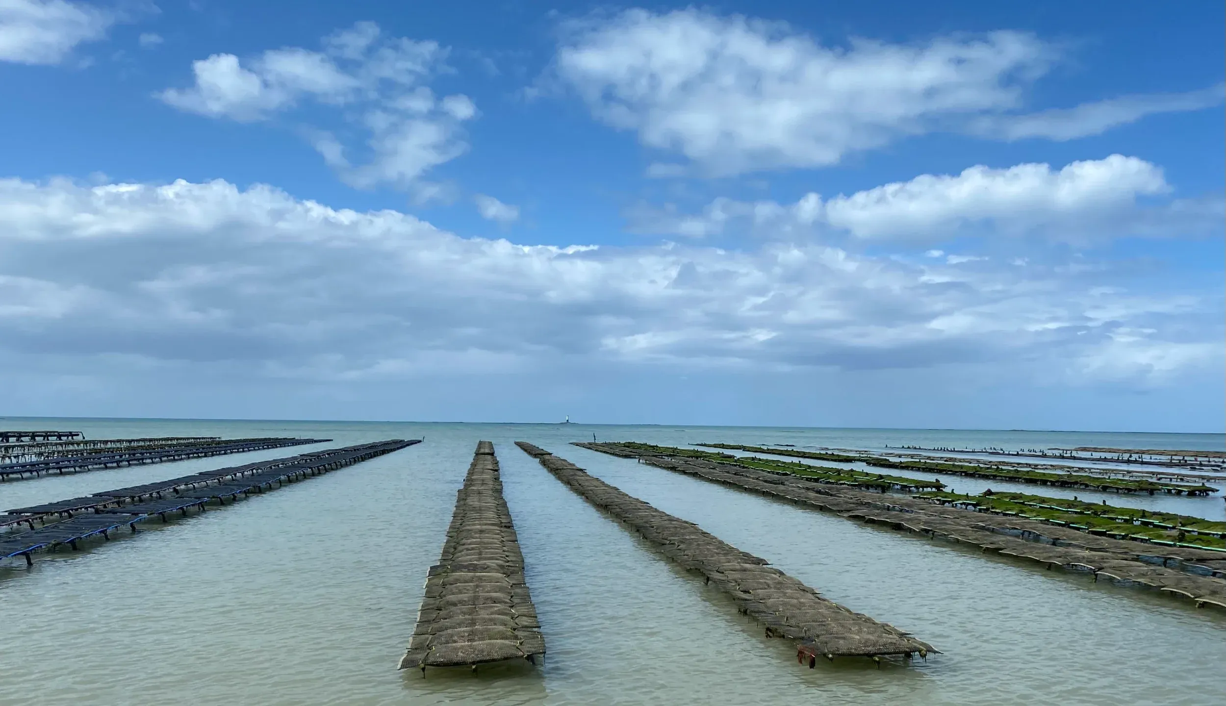 Photo de Ets Macé Laurent 