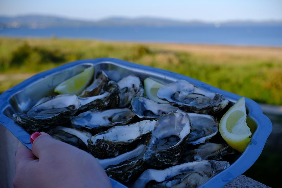 Climatiser les huîtres pour sauver la récolte : solution d'avenir ou impasse écologique ?