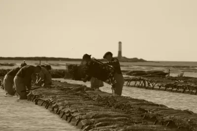 Logo GAEC LE SENEQUET