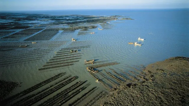 Vendée & Loire-Atlantique