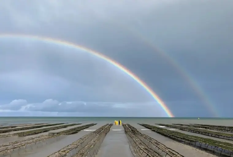 Ferme Marine du noroit (earl huîtres Marie Quetier)